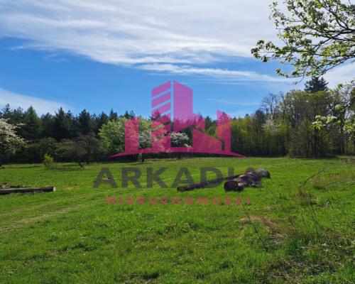 Wyjątkowa nieruchomość z historią – Grodziszcze Ko