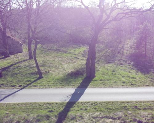 Dziełka rolna w Borowcu gm. Ciepielów pow. lipski.