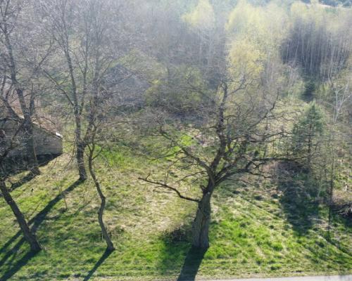 Dziełka rolna w Borowcu gm. Ciepielów pow. lipski.