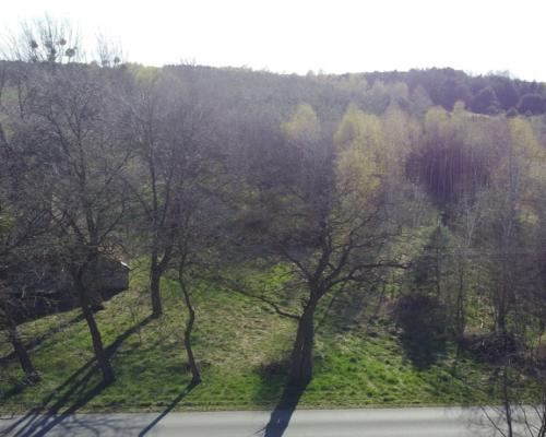 Dziełka rolna w Borowcu gm. Ciepielów pow. lipski.