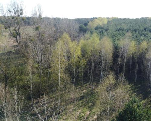 Dziełka rolna w Borowcu gm. Ciepielów pow. lipski.