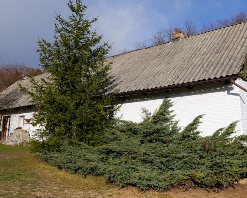 Długi Kąt | Dom z klimatem