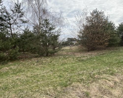 Działka pod zabudowę 991 m2 Kłoda gm. Magnuszew.