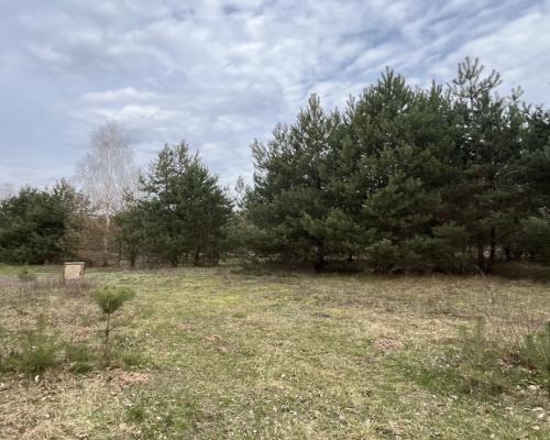 Działka pod zabudowę 991 m2 Kłoda gm. Magnuszew.