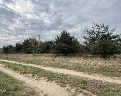 Działka pod zabudowę 991 m2 Kłoda gm. Magnuszew.