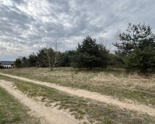 Działka pod zabudowę 991 m2 Kłoda gm. Magnuszew.