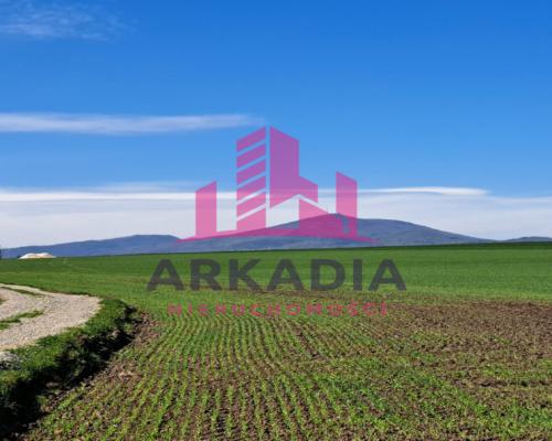 Na sprzedaż działka nr 86/8 – Olbrachtowice,