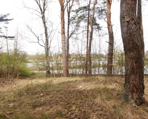 Dom, agroturystyka, stawy, 6.81ha, Lublin