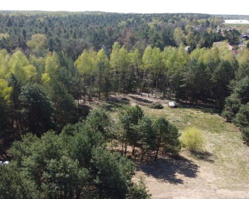 Działka 3117 m2 pośród drzew w Kowali gm. Puławy.