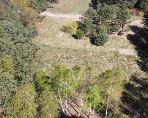 Działka 3117 m2 pośród drzew w Kowali gm. Puławy.