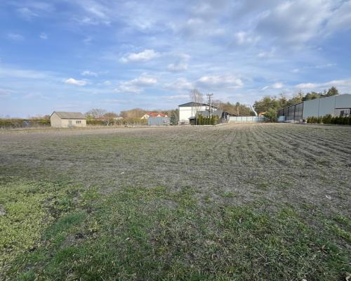 Działka 25arów-Uściąż/Kazimierza Dolnego 219000zł