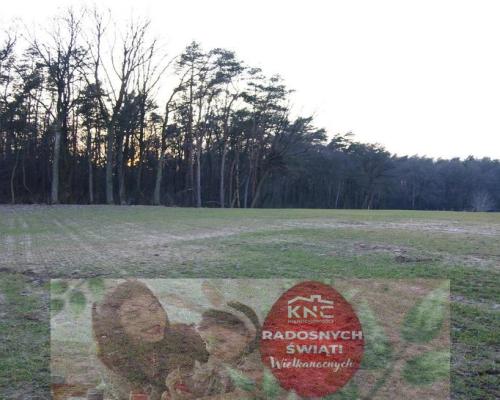 Malownicza działka w pięknym zakatku Lublina.