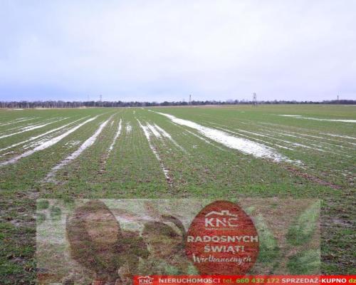 Wierciszów, działka budowlana MN, media.