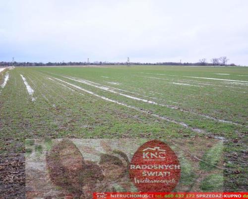 Wierciszów, działka budowlana MN, media.