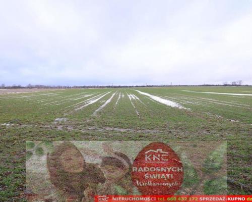 Wierciszów, działka budowlana MN, media.