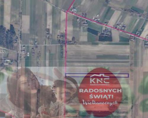 Działka rolna 1,80 ha Mszadla Nowa gm. Przyłęk