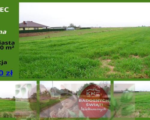 Radawiec Duży, działka budowlana, wydane WZ, media