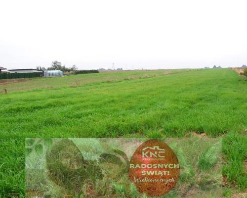 Radawiec Duży, działka budowlana, wydane WZ, media