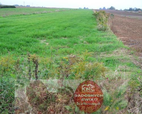 Radawiec Duży, działka budowlana, wydane WZ, media