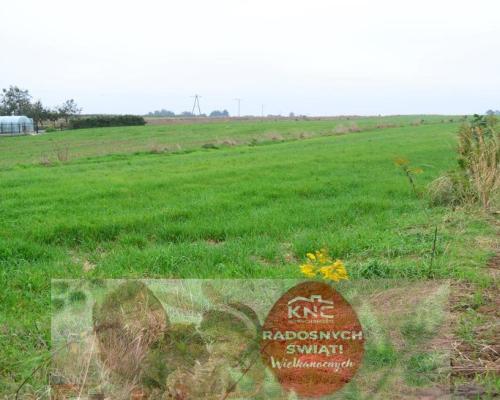 Radawiec Duży, działka budowlana, wydane WZ, media