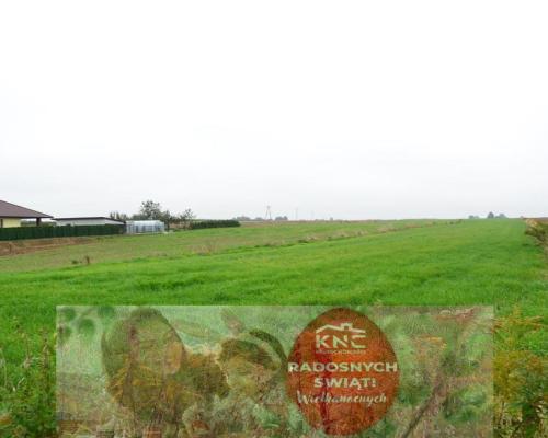 Radawiec Duży, działka budowlana, wydane WZ, media