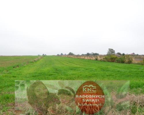 Radawiec Duży, działka budowlana, wydane WZ, media