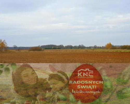 Grunt rolny - 55 ar - Samoklęski, gmina Kamionka