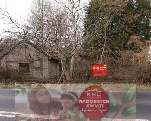 Siedlisko w Wąwolnicy.