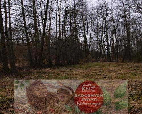 Siedlisko w Wąwolnicy.