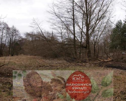 Siedlisko w Wąwolnicy.