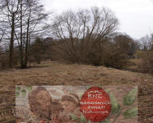 Siedlisko w Wąwolnicy.