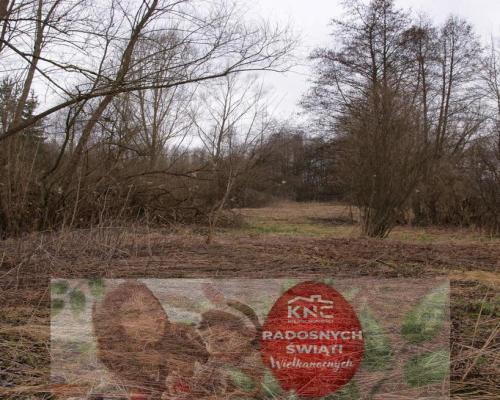 Siedlisko w Wąwolnicy.