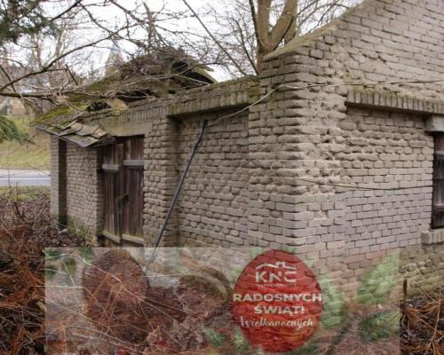 Siedlisko w Wąwolnicy.