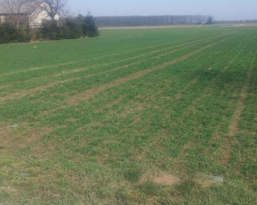 Jakubowice Kon. - Szeroka działka budowlana