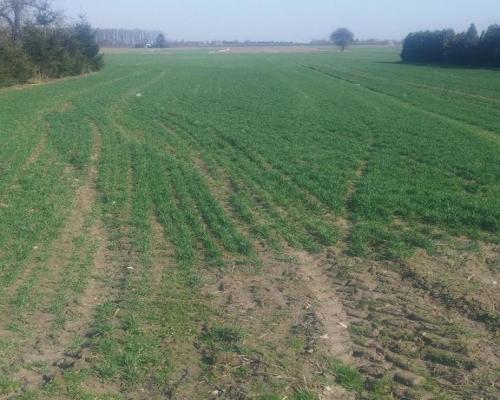 Jakubowice Kon. - Szeroka działka budowlana