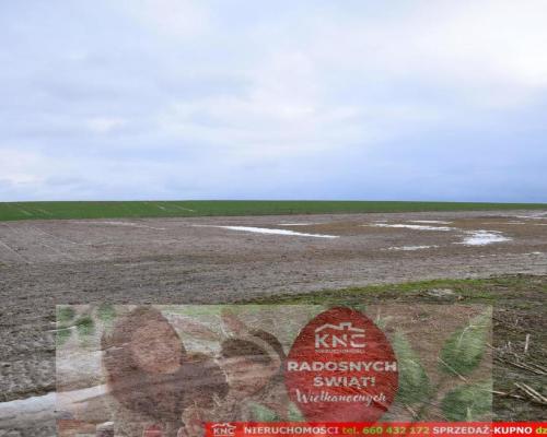 Wierciszów, działki budowlane MN, media 100%.