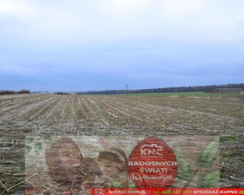 Wierciszów, działki budowlane MN, media 100%.