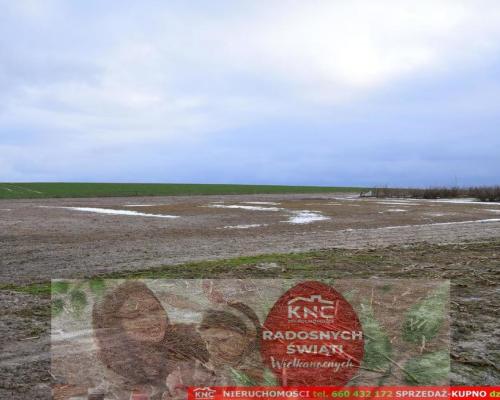 Wierciszów, działki budowlane MN, media 100%.