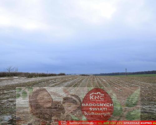 Wierciszów, działki budowlane MN, media 100%.