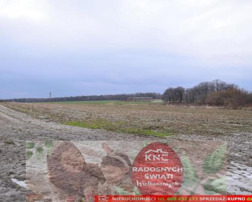 Wierciszów, działki budowlane MN, media 100%.