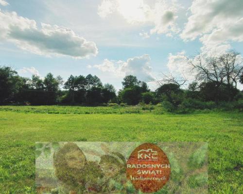 Łąka pod Lublinem- miejsce na odpoczynek nad rzeką!