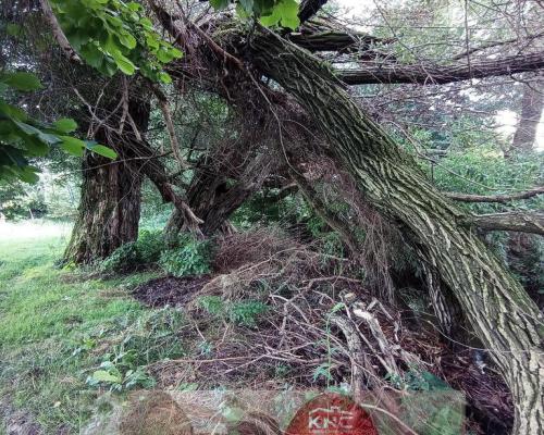 Łąka pod Lublinem- miejsce na odpoczynek nad rzeką!