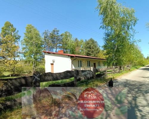 Działka z WZ 4883 m2 Gródek gm. Policzna/zwoleński