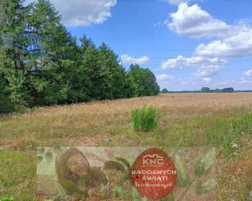 Działka 4 ha o różnym przeznaczeniu w Zwoleniu.