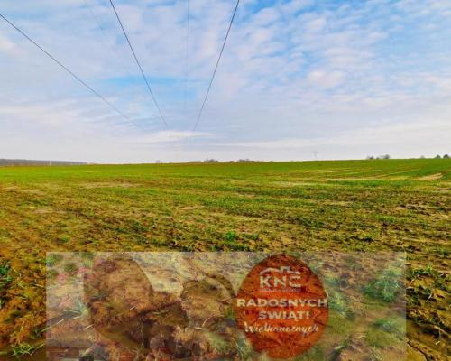 Działka rolno-budowlana - doskonała inwestycja!