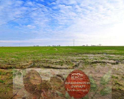 Działka rolno-budowlana - doskonała inwestycja!