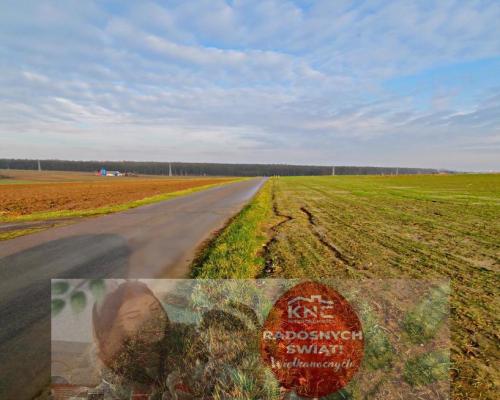 Działka rolno-budowlana - doskonała inwestycja!