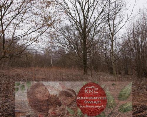 Rolno-budowlana działka w Kazimierzu Dolnym.