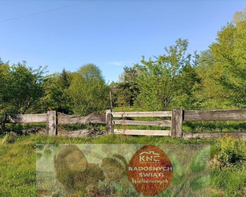 Siedlisko w cichej okolicy 100 km od Warszawy.