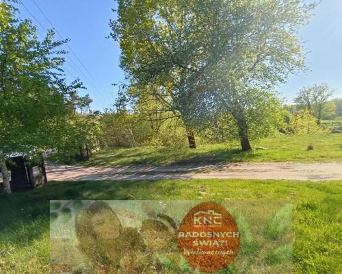 Siedlisko w cichej okolicy 100 km od Warszawy.